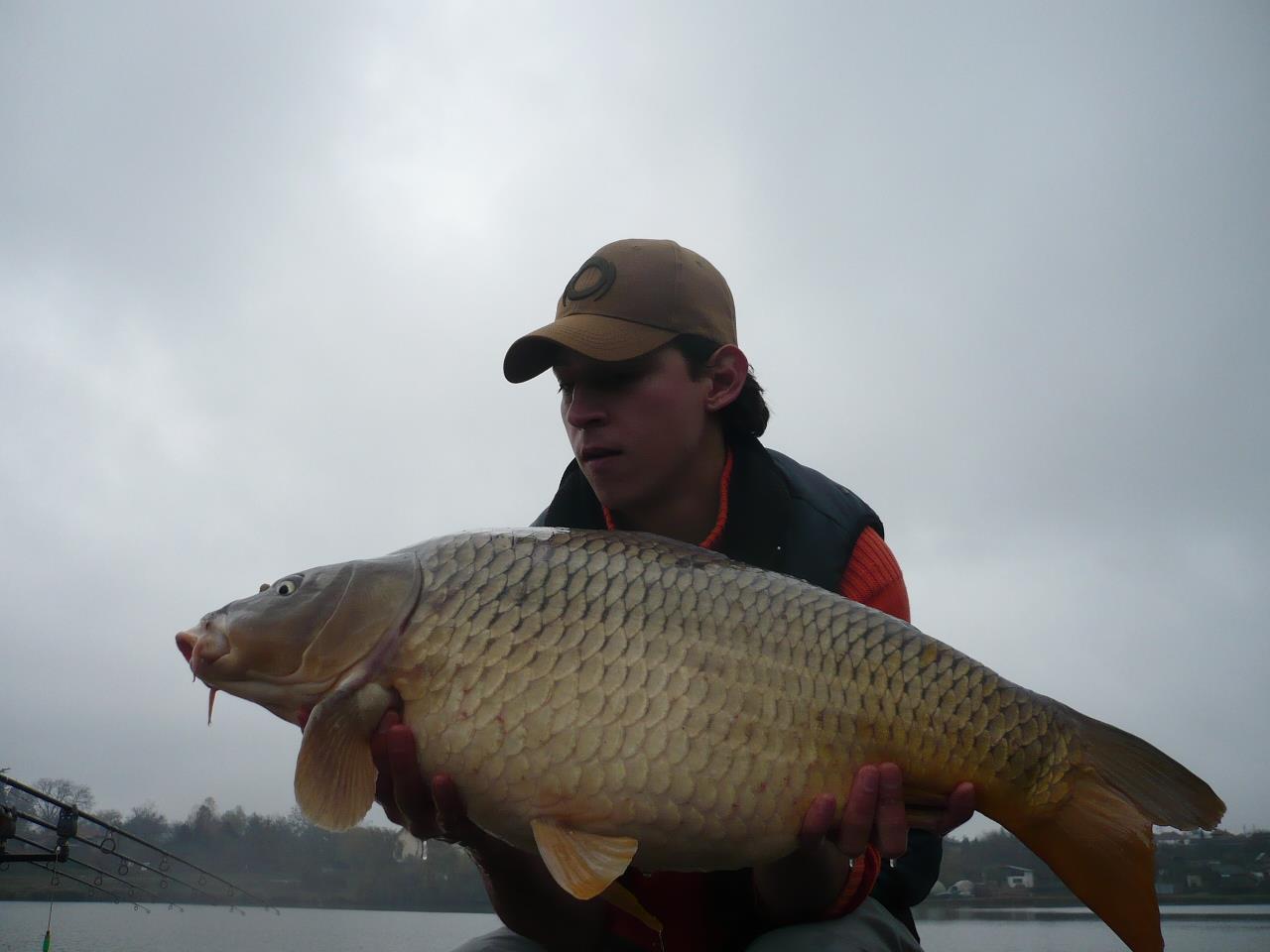 MV 2 - 12.NOI.2014 - p1020940.JPG